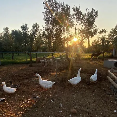 Hostaria Delle Memorie Casa de hóspedes 3*