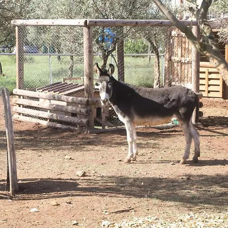 Hostaria Delle Memorie