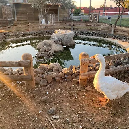 Hostaria Delle Memorie 3*