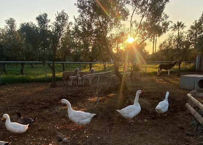 Hostaria Delle Memorie Casa de hóspedes 3*