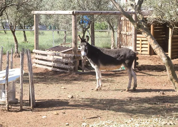 Hostaria Delle Memorie