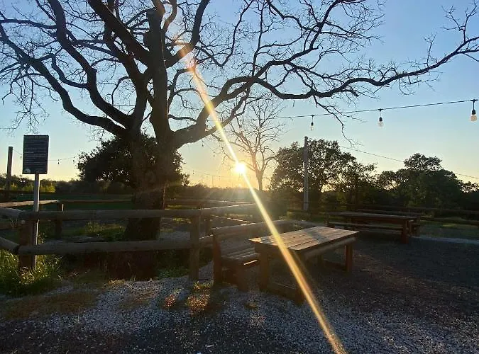 Hostaria Delle Memorie 3* 科林加