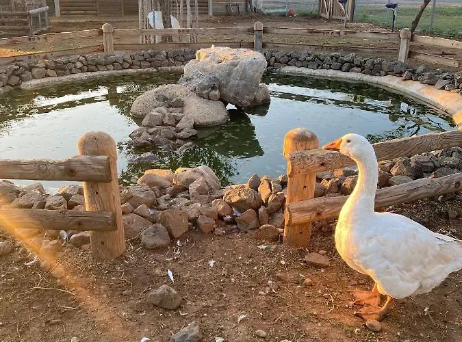 Hostaria Delle Memorie 3*